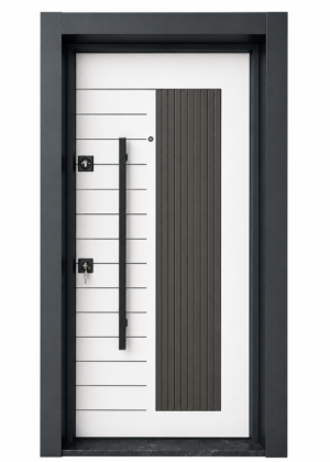 Eko Laminox Çelik Kapı - L01